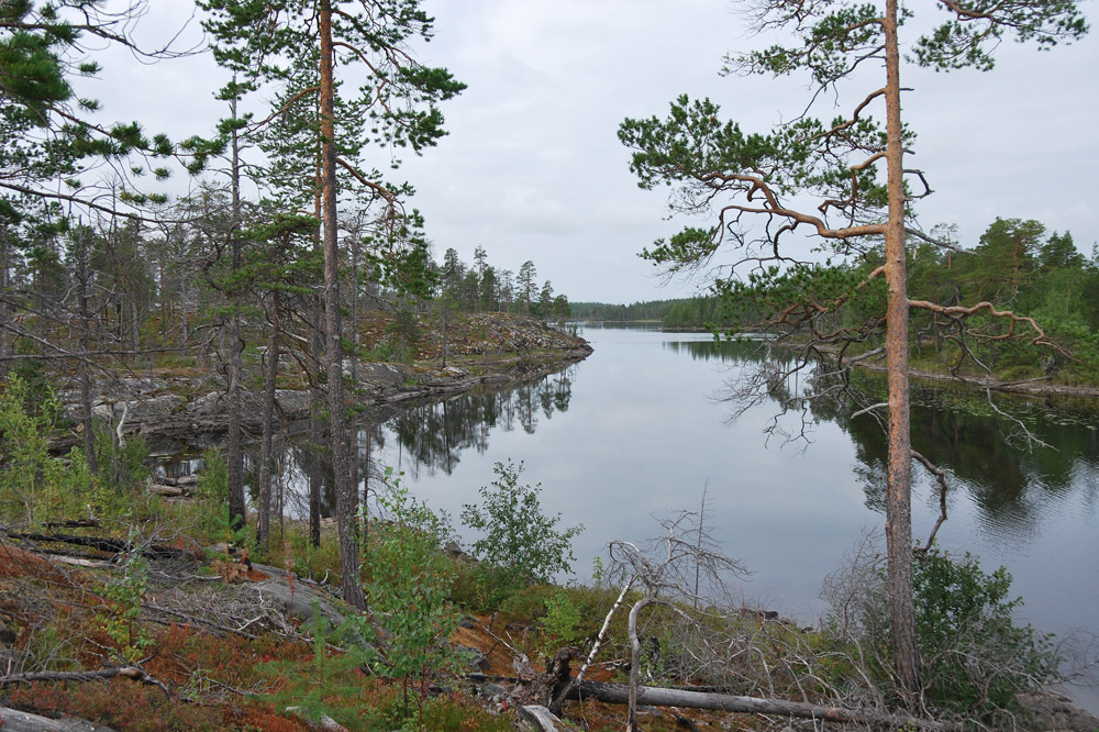Озеро Мурашево