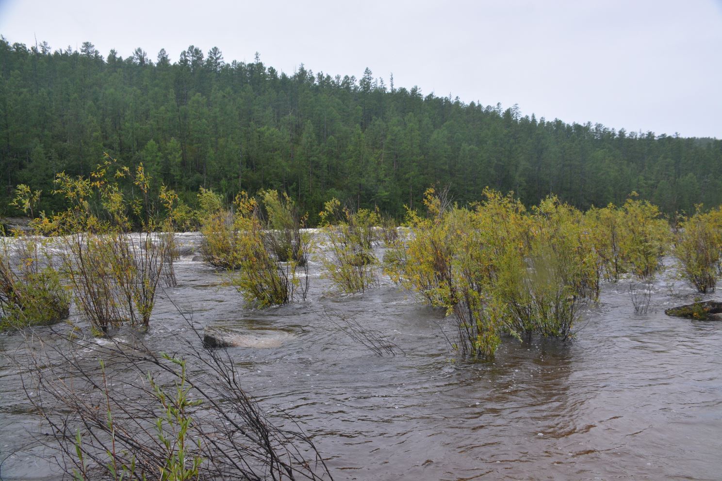 Пляж на Кыджимитском пороге ушел под воду.