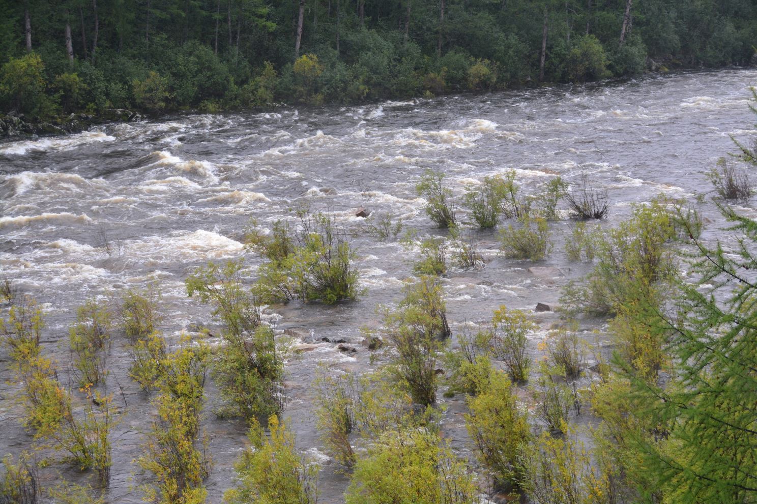 Пляж уходит под воду. А я-то собирался здесь порыбачить.