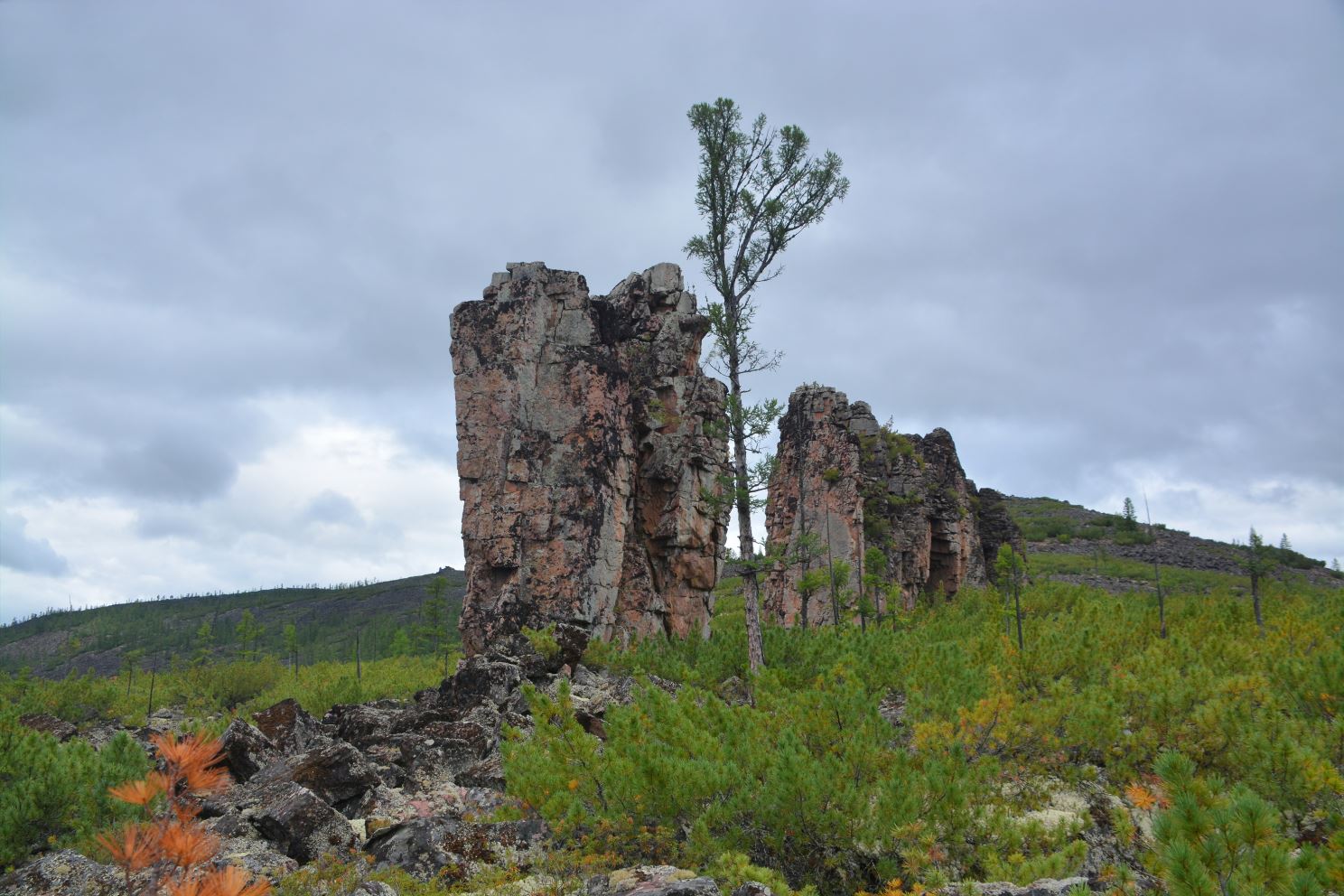 Останцы окружает стланик на курумнике