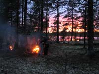 Kola_181.jpg