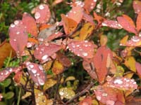 Kola_229.jpg